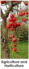 Agriculture and Horticulture